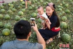 南召吃瓜群众,揭秘当地独特民俗风情