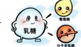 乳糖不耐受吃瓜,乳糖不耐受者如何享受美味瓜果