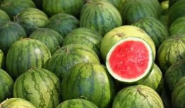 吃瓜造型勺子,吃瓜造型勺子的时尚潮流解析