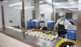 菜园吃瓜群众,菜园里吃瓜群众的欢乐时光