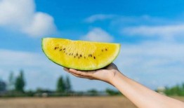 吃瓜著名打卡地,揭秘吃瓜群众的美食天堂