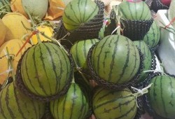 朝阳吃瓜小分队,揭秘娱乐圈幕后故事