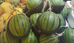 朝阳吃瓜小分队,揭秘娱乐圈幕后故事